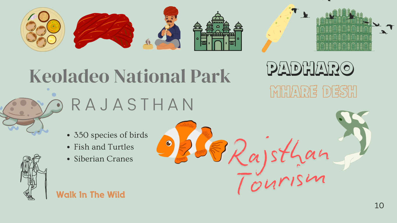 Keoladeo National Park, Rajasthan